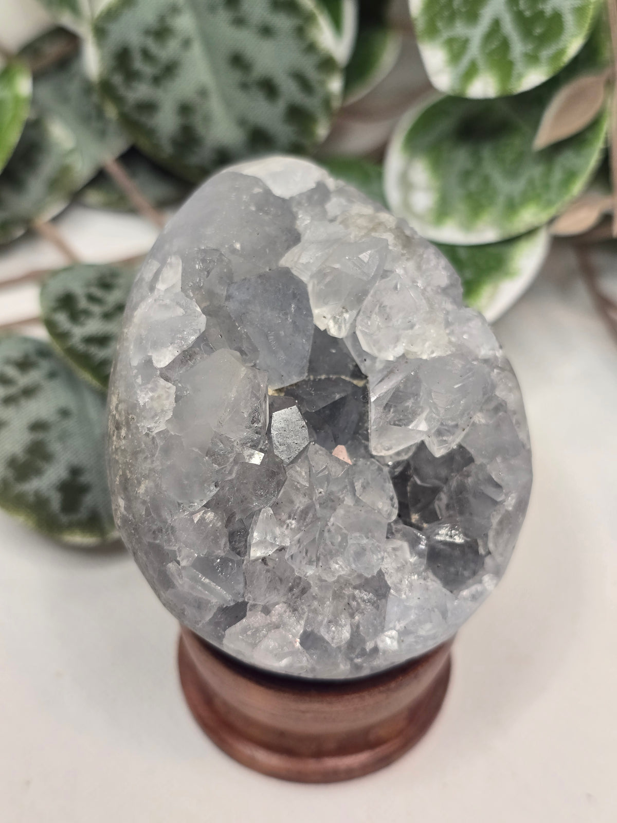 Celestine Egg with Stand 219g