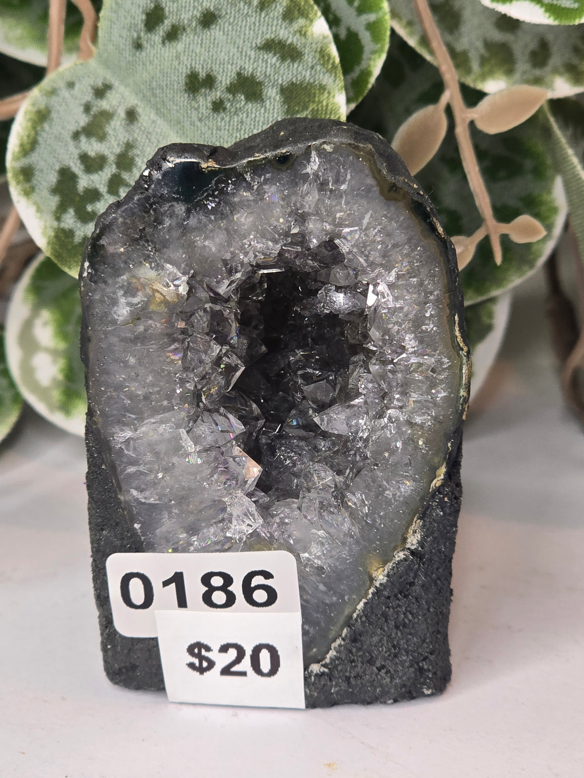 Amethyst Cathedral 131g