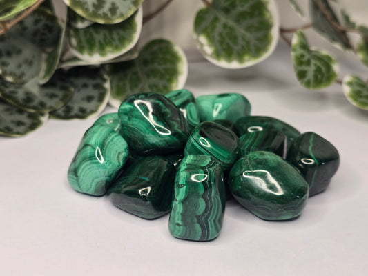 Malachite Tumbles 22g