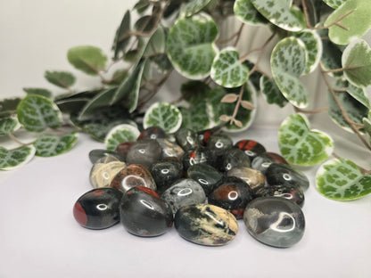 African Bloodstone Tumbles 16g