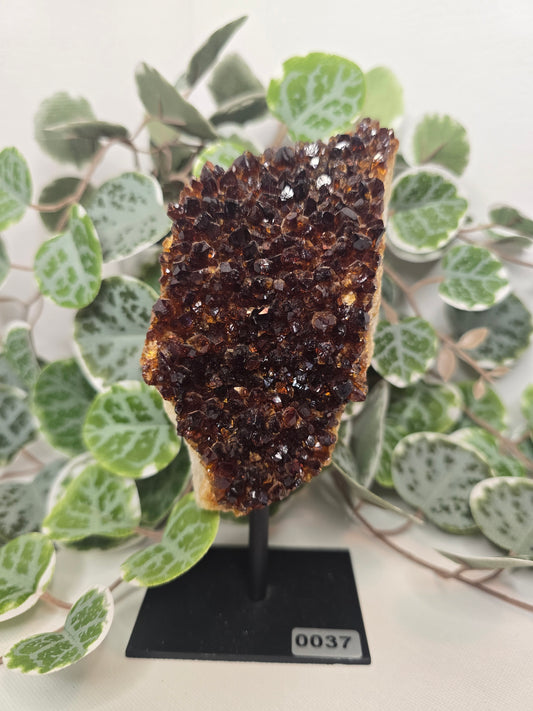 Citrine Free Form (on stand) 537g