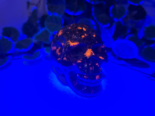 UV-Reactive Yooperlite Crystal Skull – 361g