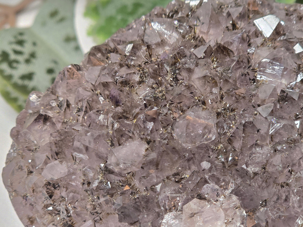 Amethyst Free Form 550g