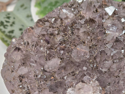 Amethyst Free Form 550g