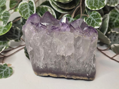 Amethyst Free Form 576g