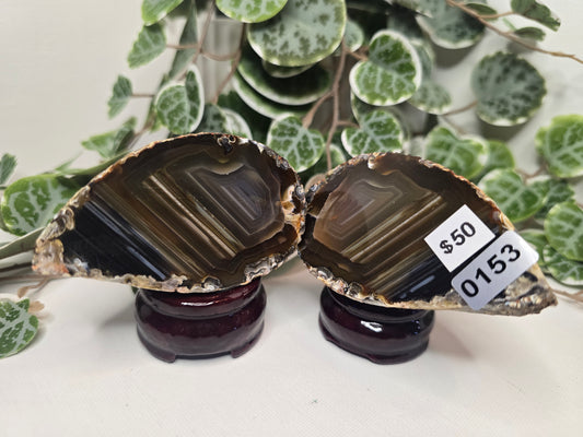 Agate Nodule Polished Pair 337g