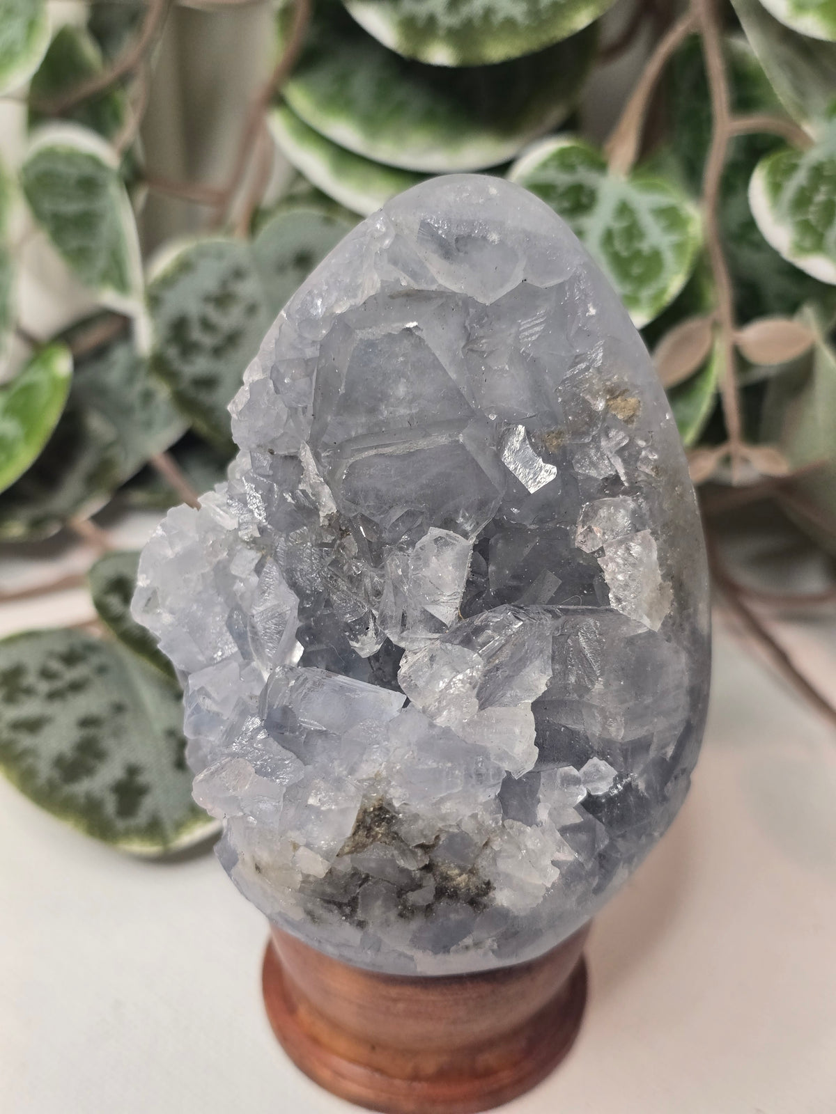 Celestine Crystal Specimen on Wooden Stand – 388g