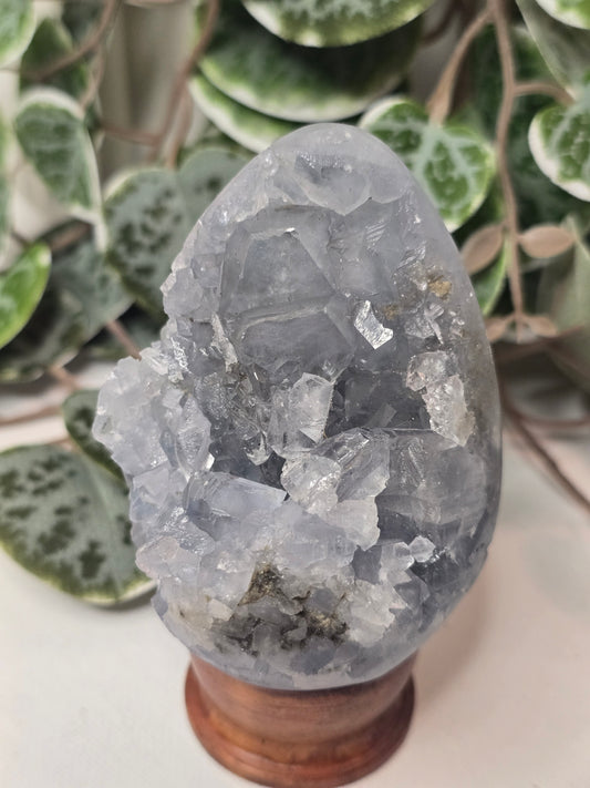 Celestine Crystal Specimen on Wooden Stand – 388g