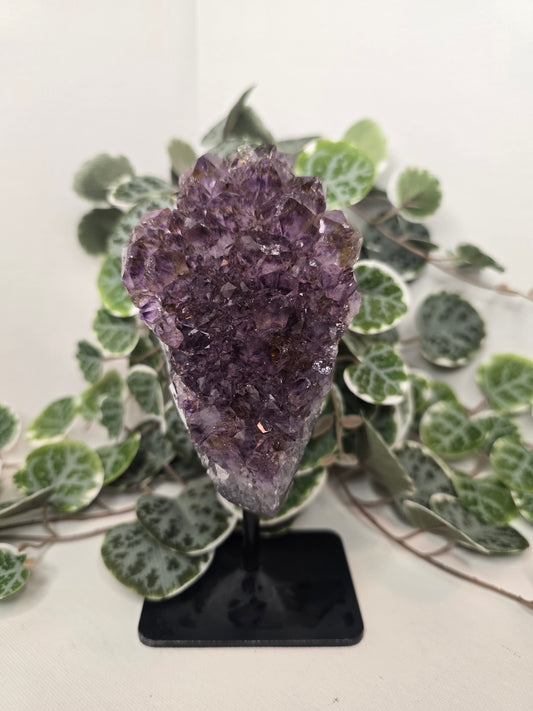 Amethyst Free Form (on stand) 572g