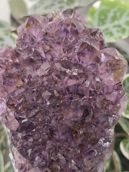 Amethyst Free Form (on stand) 572g