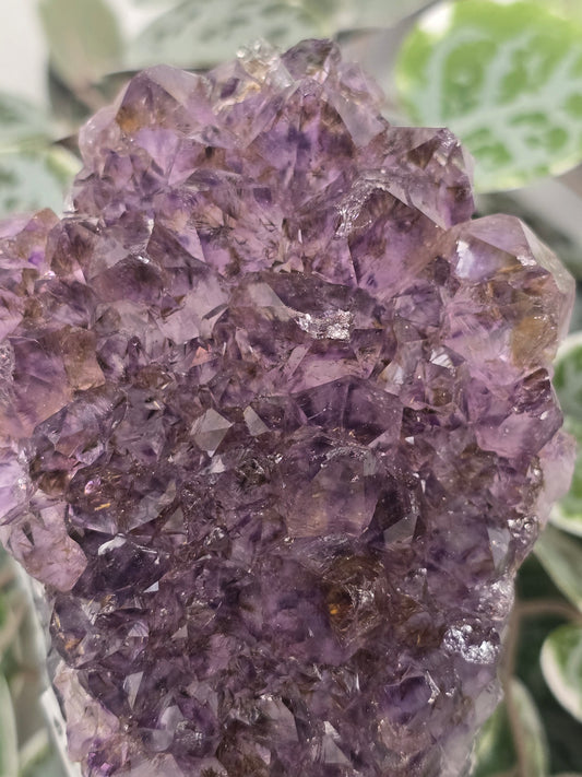 Amethyst Free Form (on stand) 572g