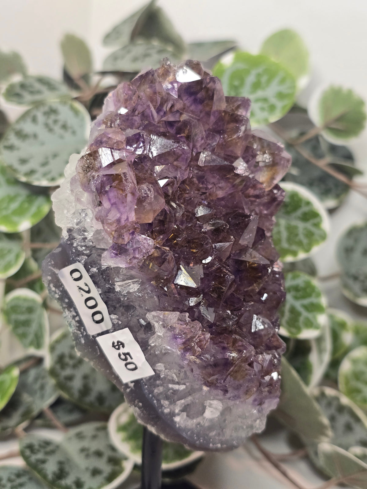 Amethyst Free Form (on stand) 572g