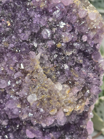 Amethyst Cut Base 2.06kg