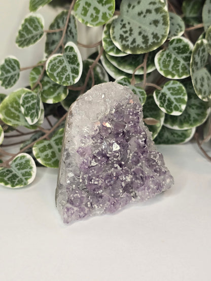 Amethyst Cut Base 405g