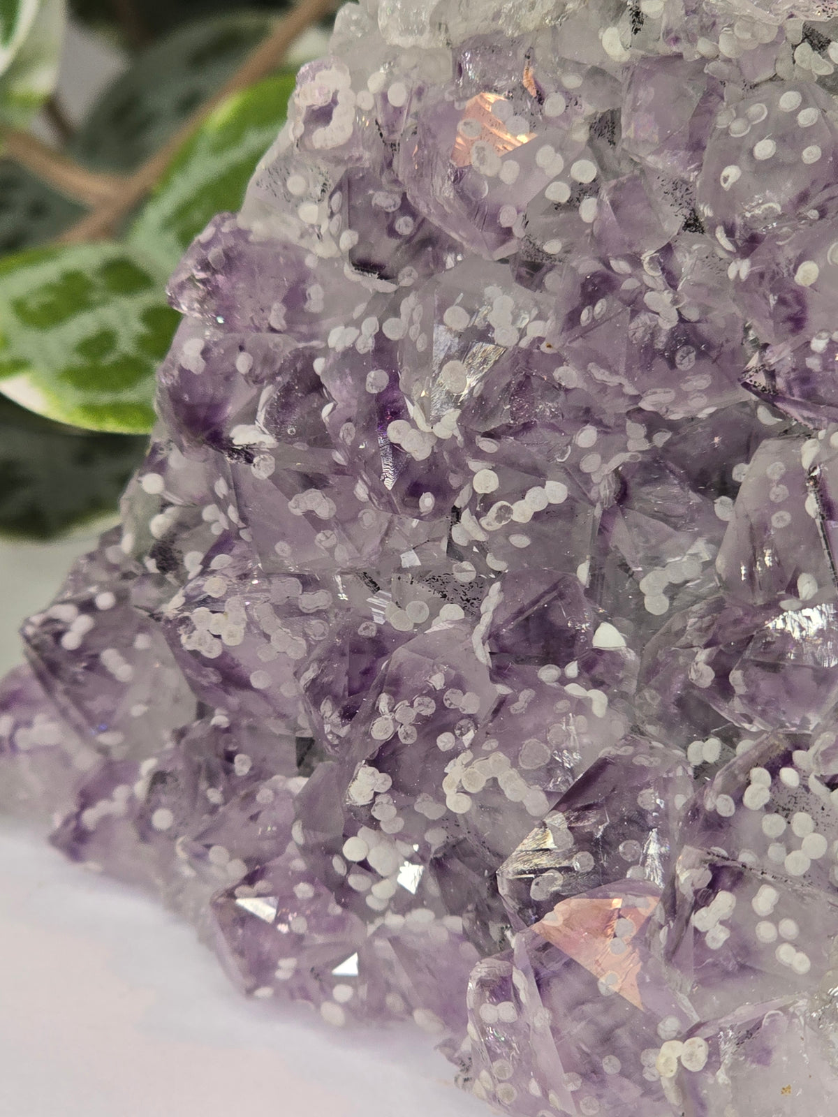Amethyst Cut Base 405g
