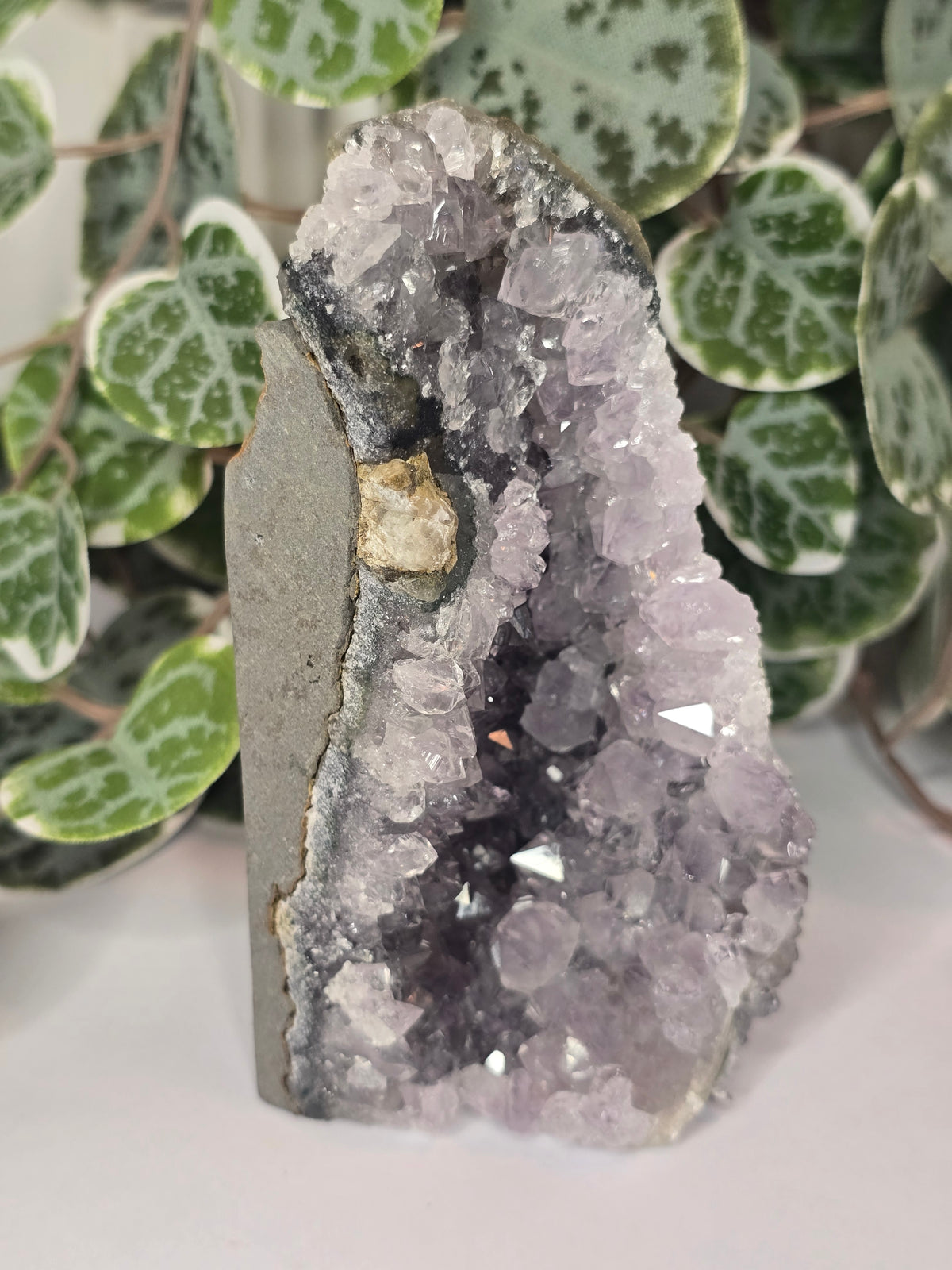 Amethyst Cut Base 335g