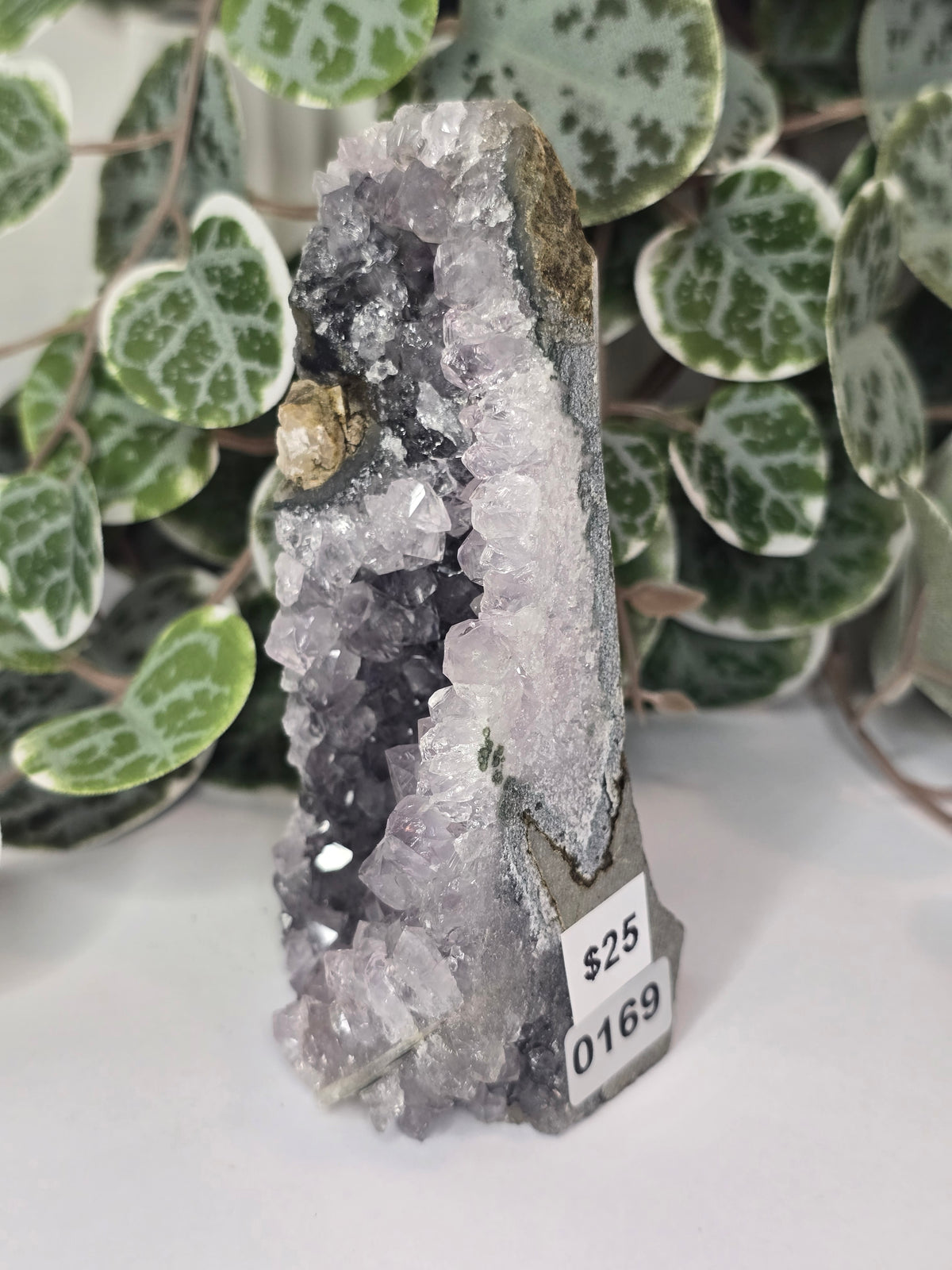 Amethyst Cut Base 335g