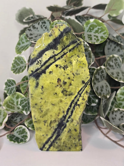 Serpentine Slab (Polished Face) 580g