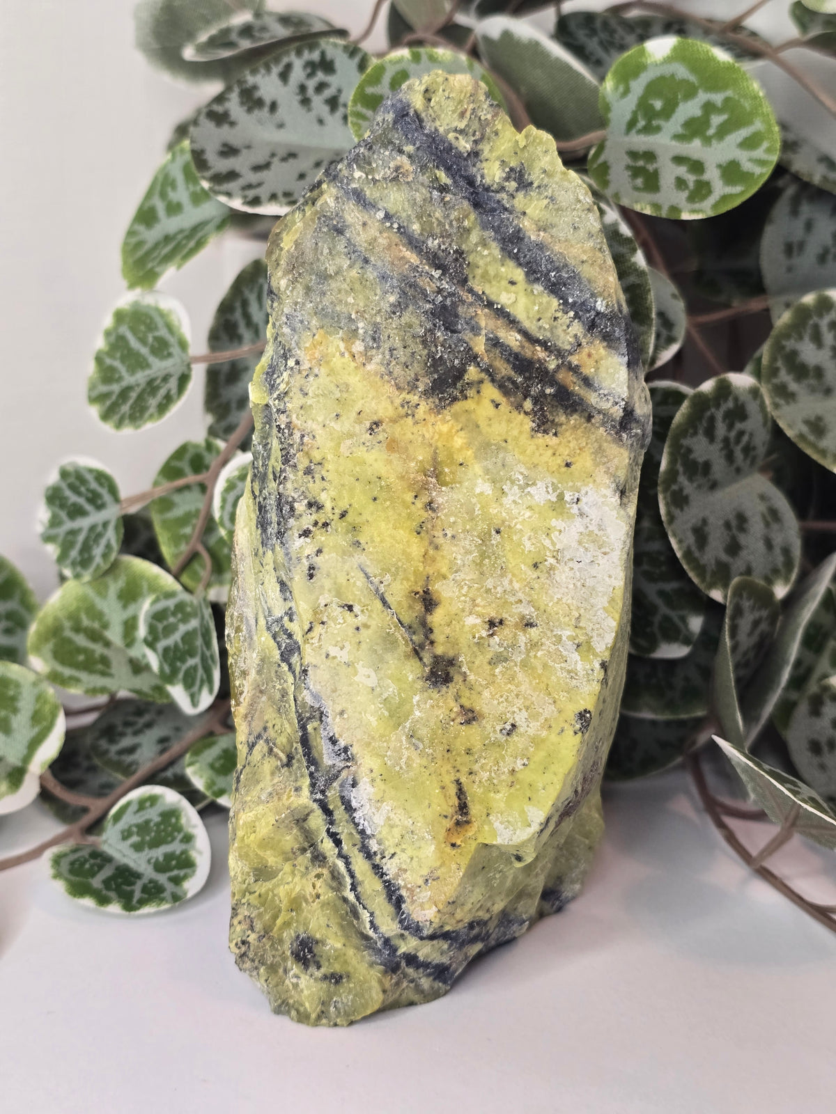 Serpentine Slab (Polished Face) 580g