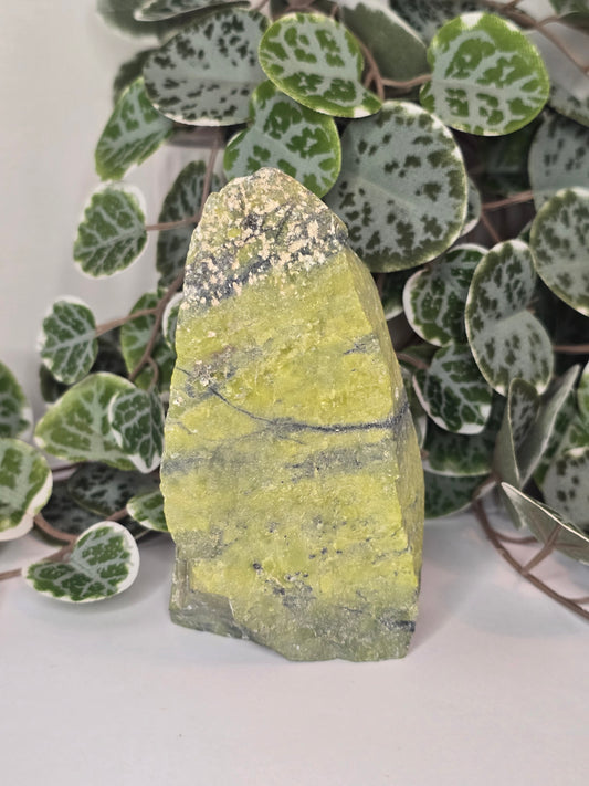 Serpentine Slab (Polished Face) 407g