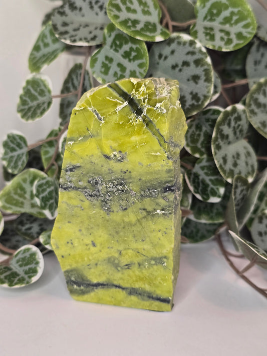 Serpentine Slab (Polished Face) 315g