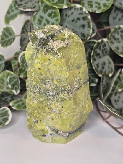 Serpentine Slab (Polished Face) 315g