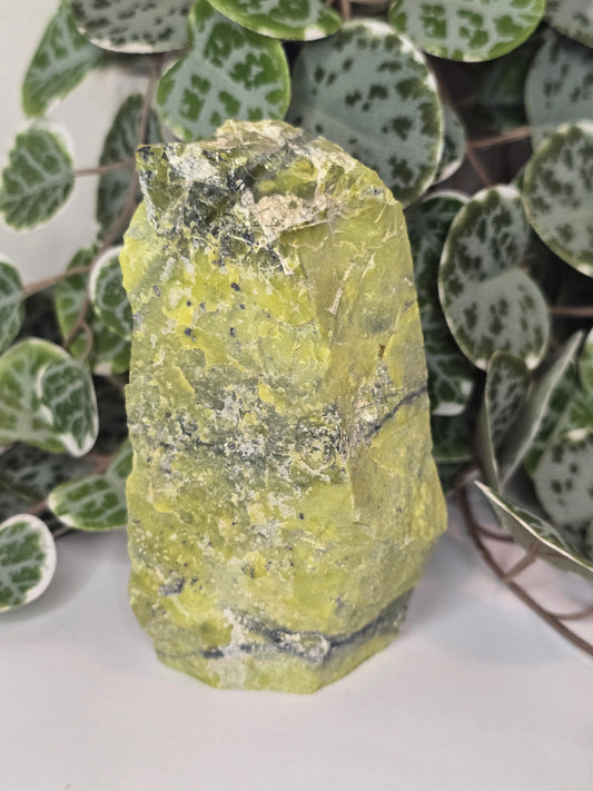 Serpentine Slab (Polished Face) 315g