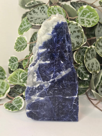 Sodalite Slab (Polished Face) 431g