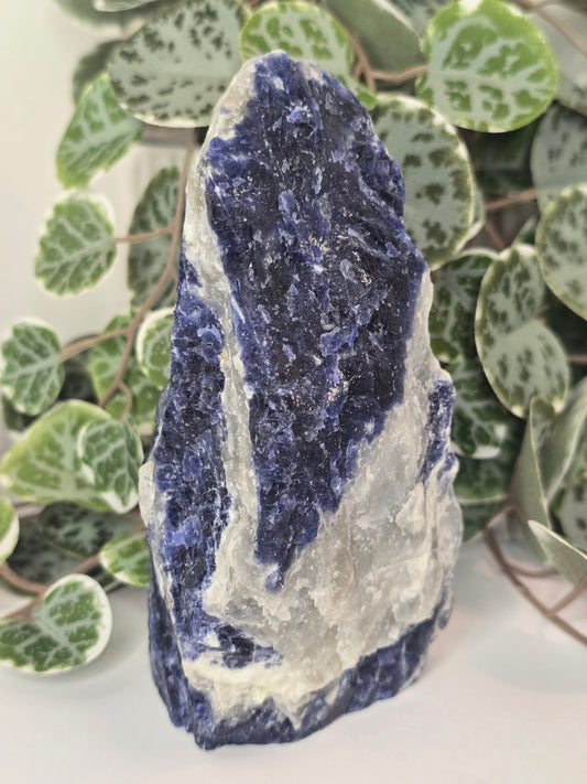 Sodalite Slab (Polished Face) 431g
