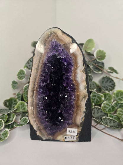 Amethyst Cathedral 1.82kg