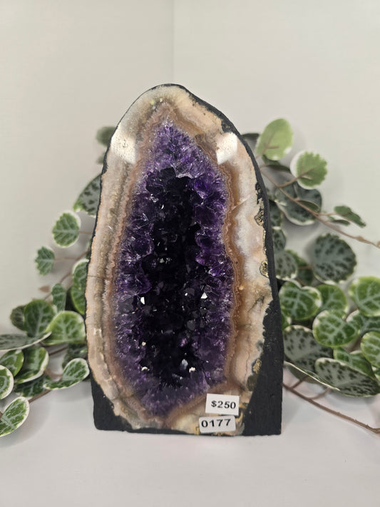 Amethyst Cathedral 1.82kg
