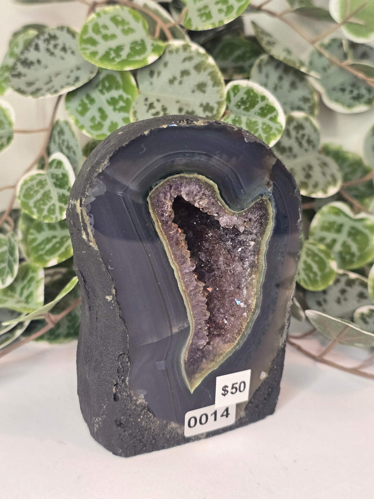 Amethyst Cathedral 637g