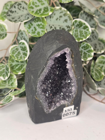 Amethyst Cathedral 611g