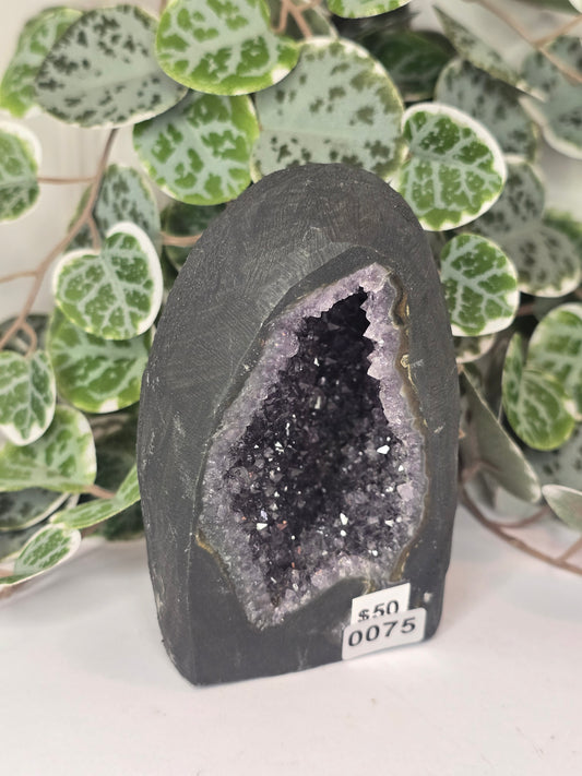 Amethyst Cathedral 611g