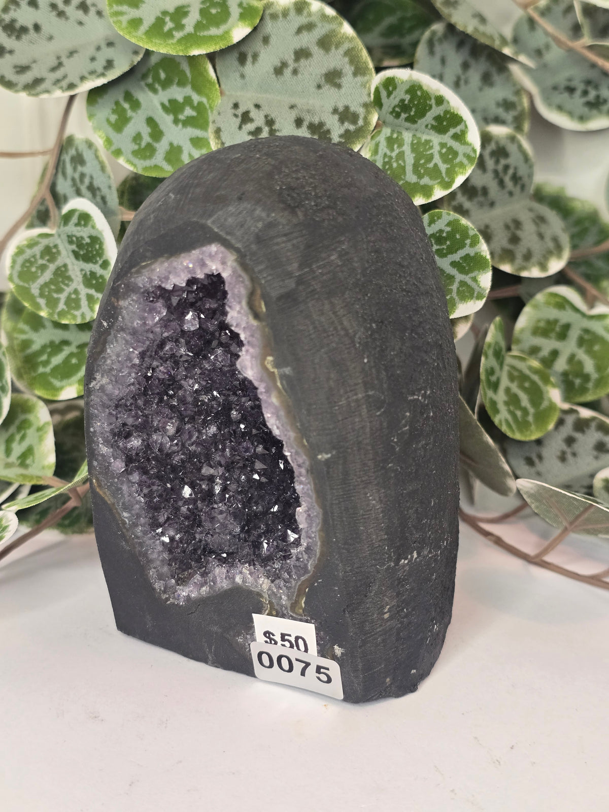 Amethyst Cathedral 611g