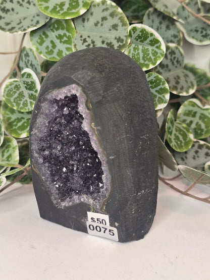 Amethyst Cathedral 611g