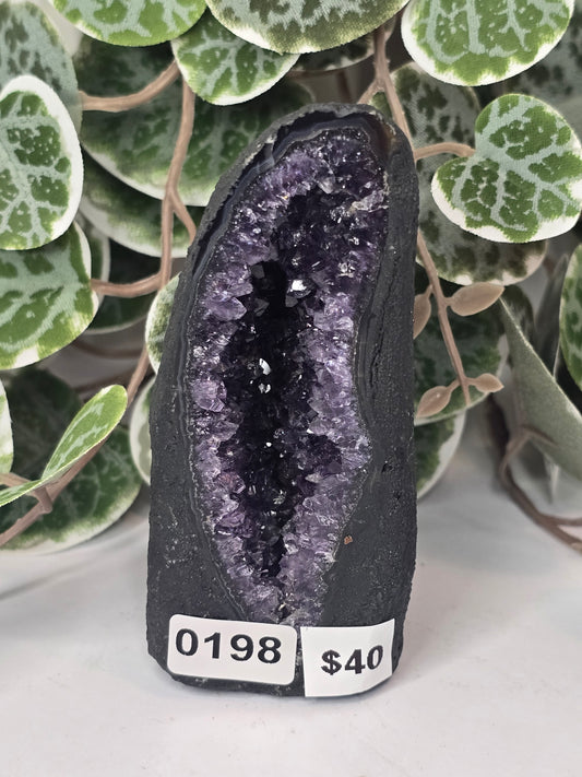Amethyst Cathedral 186g