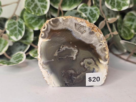 Agate Slab Polished Face 294g