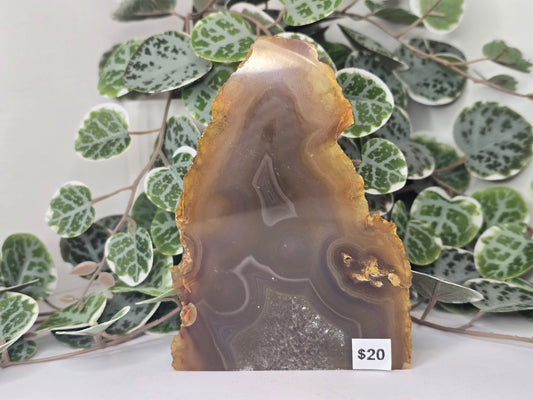 Agate Slab Polished Face 331g