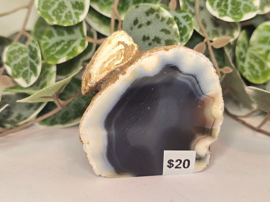 Agate Slab Polished Face 208g