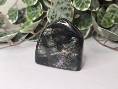 Labradorite Free Form 132g