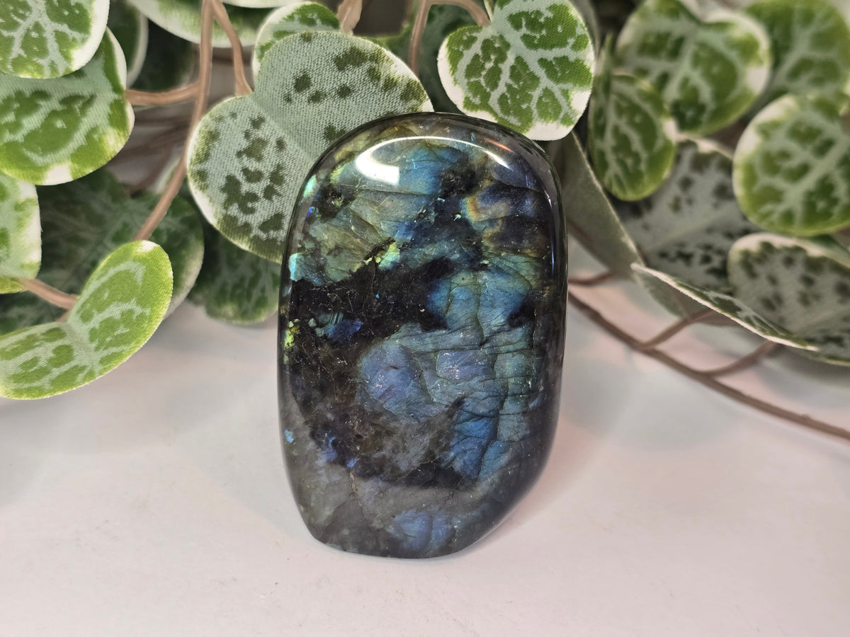 Labradorite Free Form 174g