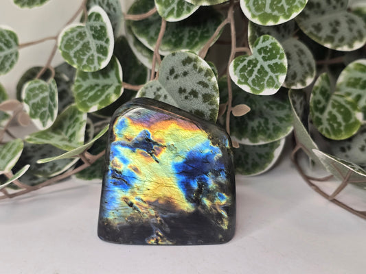 Labradorite Free Form 102g