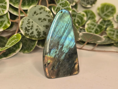 Labradorite Free Form 118g