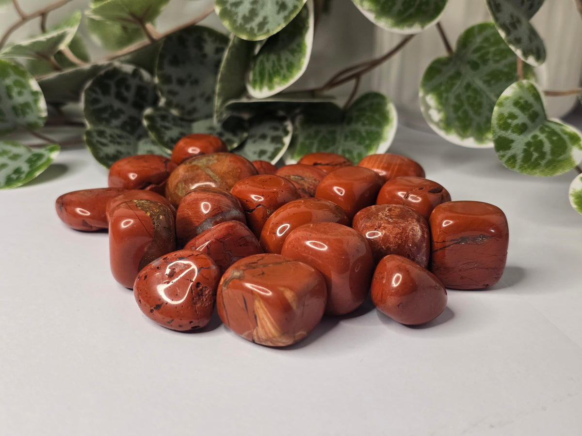 Red Jasper Tumbles 16g