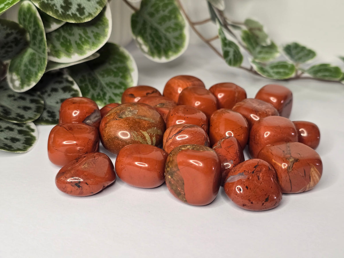 Red Jasper Tumbles 16g