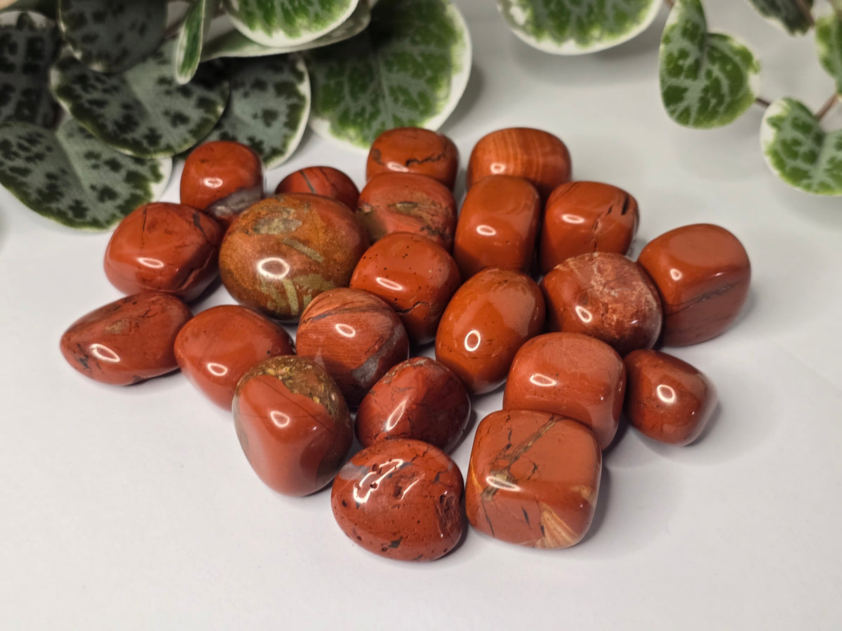 Red Jasper Tumbles 16g