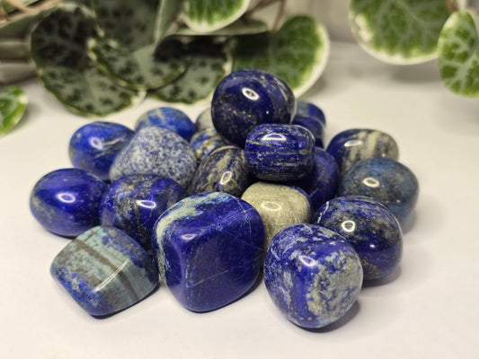 Lapis Lazuli Tumbles 20g