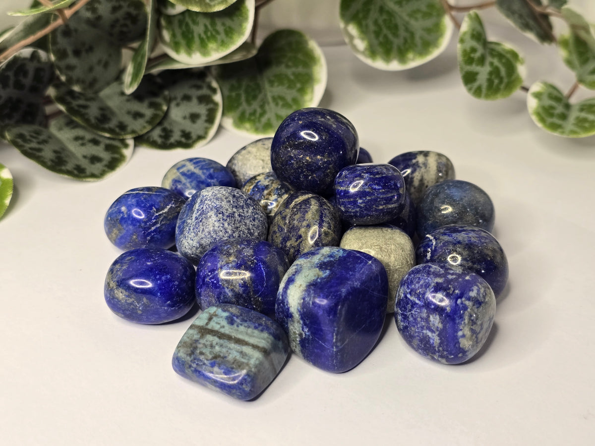Lapis Lazuli Tumbles 20g