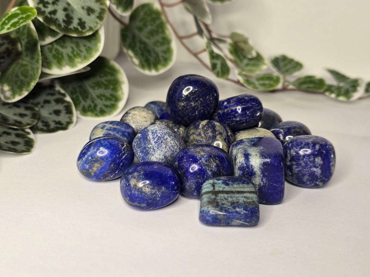 Lapis Lazuli Tumbles 20g